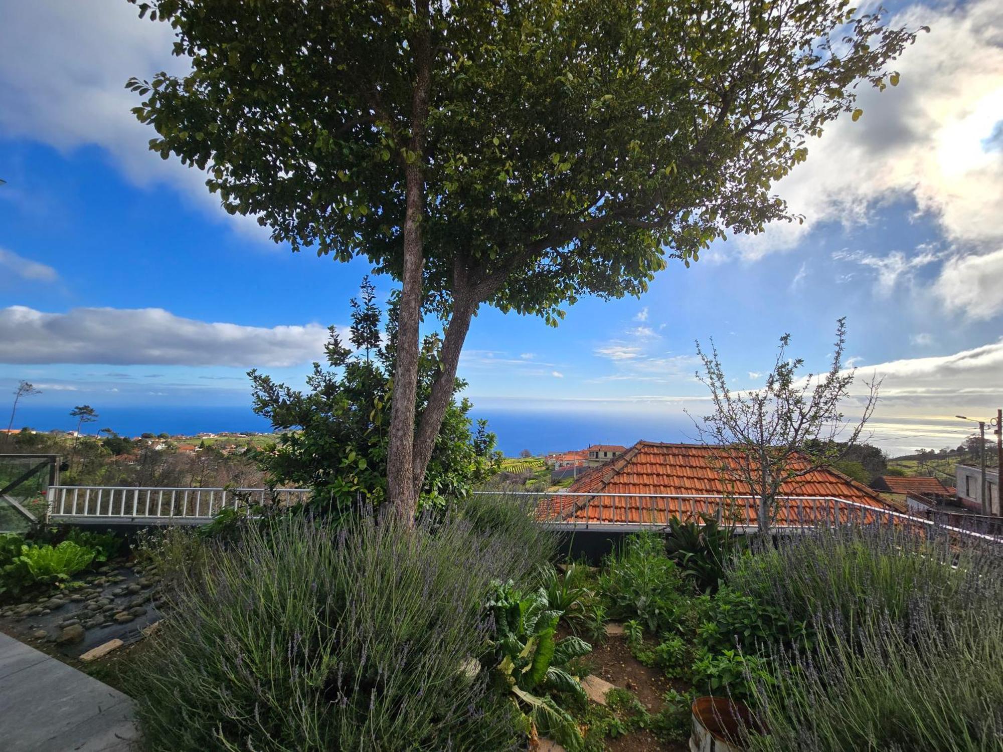 Horizon Retreat Apartment Calheta  Bagian luar foto